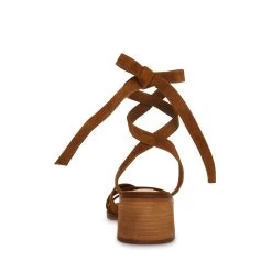 CORY BROWN SUEDE -Stevemadden STEVEMADDEN SHOES CORY BROWN SUEDE BACK