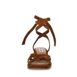CORY BROWN SUEDE -Stevemadden STEVEMADDEN SHOES CORY BROWN SUEDE FRONT