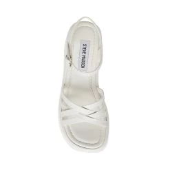 CRAZY30 WHITE LEATHER -Stevemadden STEVEMADDEN SHOES CRAZY30 WHITE LEATHER TOP