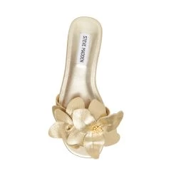 MELENA GOLD LEATHER 15 MELENA GOLD LEATHER -Stevemadden STEVEMADDEN SHOES MELENA GOLD LEATHER TOP